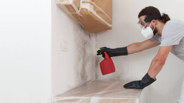 Professional Basement Mold Removal technician working in Winterville, NC